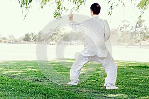 Handsome man practicing thai chi