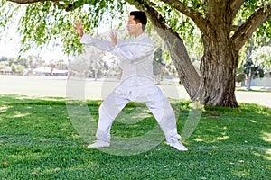 Handsome man practicing thai chi