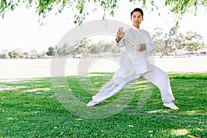 Handsome man practicing thai chi