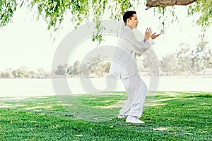 Handsome man practicing thai chi