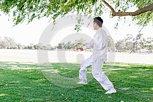 Handsome man practicing thai chi