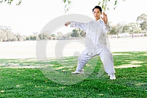 Handsome man practicing thai chi