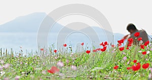 The handsome man sits on a glade before the sea, a lot of flowers of poppies, picturesque sea landscape at sunrise