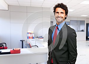 Handsome mature business man portrait