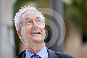 Handsome mature businessman glancing up