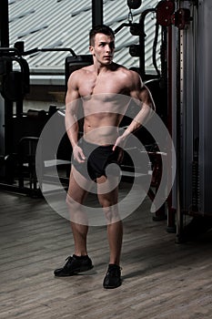 Handsome Muscular Man Flexing Muscles In Gym