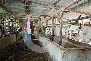 handsome rancher wearing a cowboy hat standing