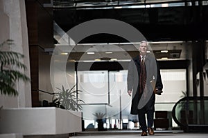 Handsome senior business man walking