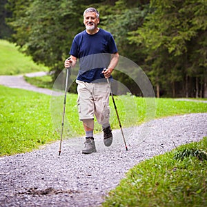 handsome senior man nordic walking