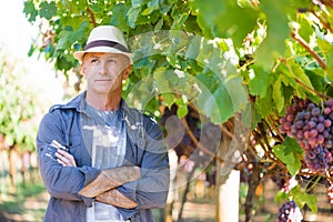 Handsome senior man in straw hat