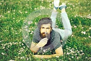 Bearded man laying on green grass