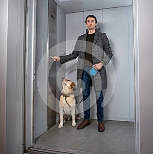 Handsome stylish man standing with labrador dog in elevator