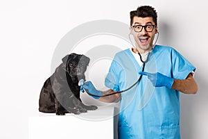 Handsome veterinarian at vet clinic examining cute black pug dog, pointing finger at pet during check-up with