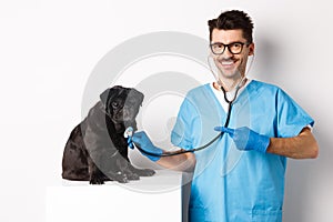 Handsome veterinarian at vet clinic examining cute black pug dog, pointing finger at pet during check-up with