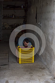Lindo obrero posesión cajas frambuesas en cochera 