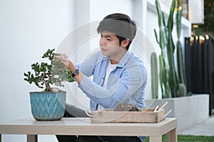 Handsome young asian man trimming bonsai tree pruning shears. Hobbies, leisure, home gardening concept