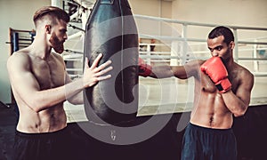 Handsome young boxers