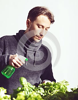 Handsome young grower carefully irrigating plants indoor. Cuisine, nutrition, vegetarian and growing concept.