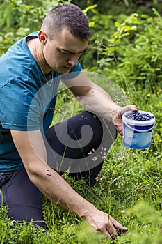 Handsome young man picking blueberries in the forest.