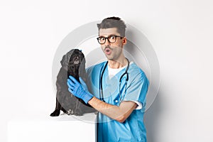 Handsome young veterinarian doctor scratching cute black pug, pet a dog, standing in scrubs over white background