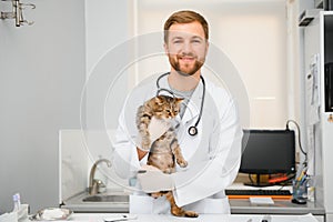 Handsome young veterinarian holding cat in clinic