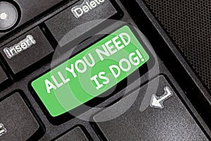 Handwriting text All You Need Is Dog. Concept meaning Get a puppy to be happier canine lovers cute animals Keyboard key