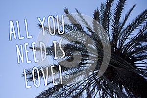 Handwriting text All You Need Is Love Motivational. Concept meaning Deep affection needs appreciation romance Tall palm tree blue