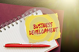 Handwriting text Business Development. Business overview Implement Growth Value within and between company Thinking New