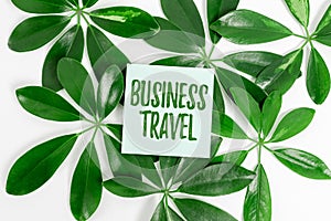 Handwriting text Business Travel. Word Written on travel on behalf of a company to one or more destinations Saving