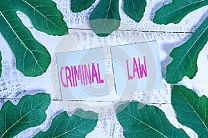 Handwriting text Criminal Law. Concept meaning legal system which relates to punishing those commits crime.