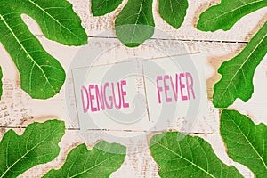 Handwriting text Dengue Fever. Concept meaning infectious disease caused by a flavivirus or aedes mosquitoes.