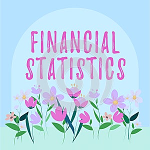 Handwriting text Financial Statistics. Business idea Comprehensive Set of Stock and Flow Data of a company