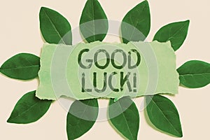 Handwriting text Good Luck. Business overview A positive fortune or a happy outcome that a person can have