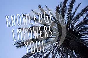 Handwriting text Knowledge Empowers You Call. Concept meaning Education responsible to achieve your success Tall palm tree blue sk