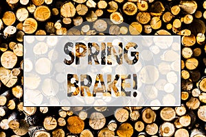 Handwriting text Spring Brake. Concept meaning Easter week School vacation for students Party Relax Leisure Wooden