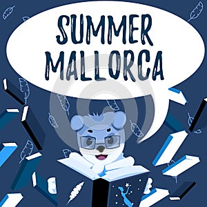 Handwriting text Summer Mallorca. Business approach Spending the holiday season in the Balearic islands of Spain Fox