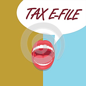 Handwriting text Tax E File. Concept meaning System submitting tax documents to US Internal Revenue Service