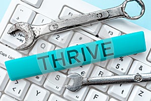 Handwriting text Thrive. Business concept Think positively Continue to prosper and flourish Time to Blossom