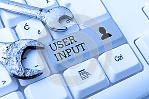 Text caption presenting User Input. Internet Concept Any information or data that is sent to a computer for processing