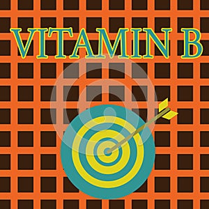 Handwriting text Vitamin B. Concept meaning Highly important sources and benefits of nutriments folate Color Dart Board