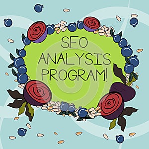 Handwriting text writing Seo Analysis Program. Concept meaning A tool to use to improve a visibility of a website Floral
