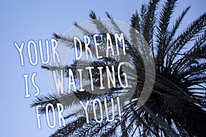 Handwriting text Your Dream Is Waiting For You. Concept meaning Goal Objective Intention Target Yearning Plan Tall palm tree blue