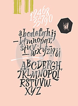 Handwritten font. Script. Latin calligraphic set