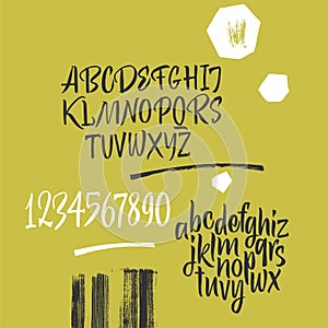 Handwritten font. Script. Latin calligraphic set