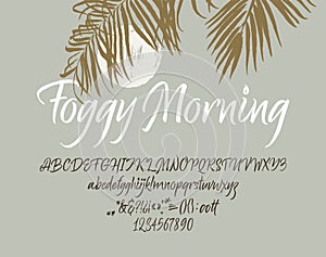 Handwritten font. Script. Latin calligraphic set