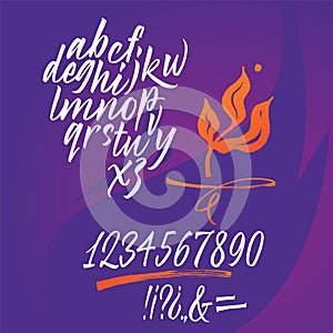 Handwritten font. Script. Latin calligraphic set