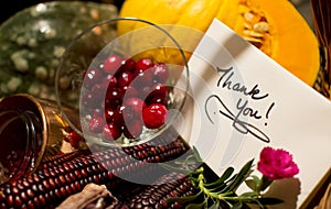 Handwritten holiday thank you Card with Cranberry