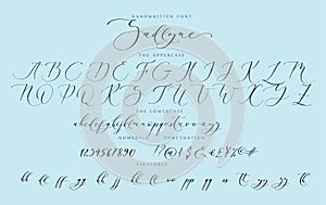Handwritten script cursive calligraphy playful font vector alphabet set Sadlyne