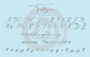 Handwritten script cursive calligraphy playful font vector alphabet set Sadlyne photo