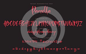 Handwritten script font sister Pamella vector alphabet set